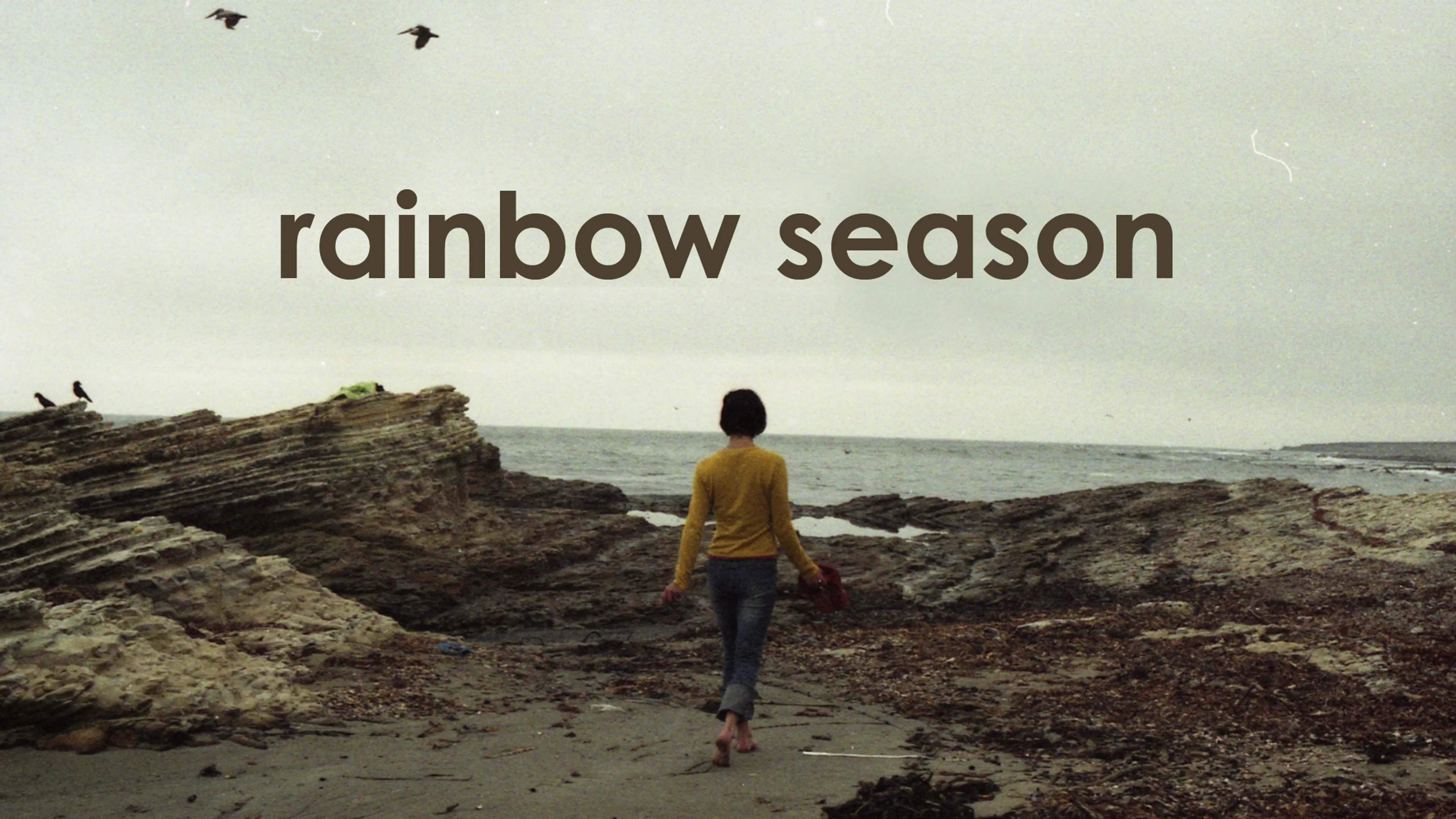 Rainbow Season poster
